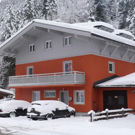 Alpen Appartements Viehhofen - Incl Sommercard Zell Am See Вихофен Екстериор снимка