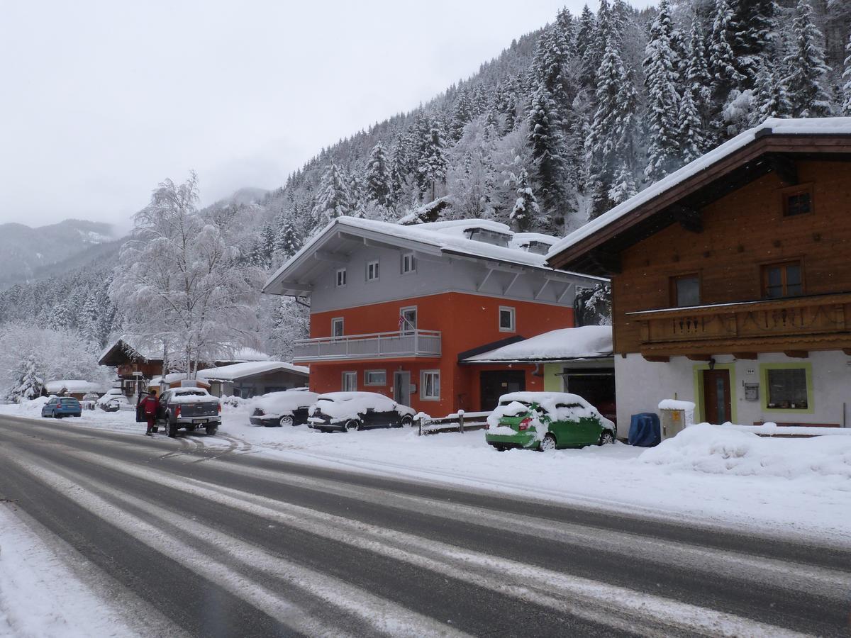 Alpen Appartements Viehhofen - Incl Sommercard Zell Am See Вихофен Екстериор снимка