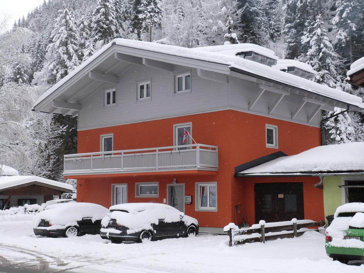Alpen Appartements Viehhofen - Incl Sommercard Zell Am See Вихофен Екстериор снимка