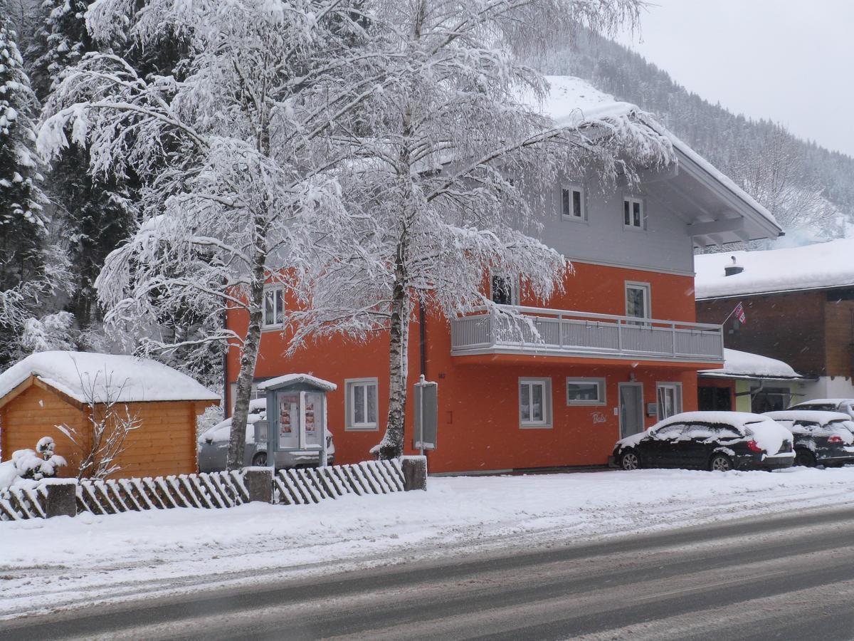 Alpen Appartements Viehhofen - Incl Sommercard Zell Am See Вихофен Екстериор снимка