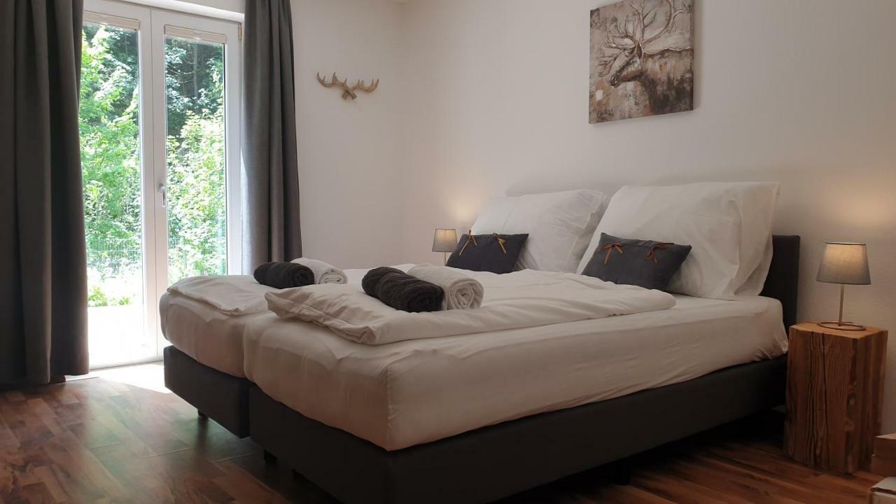 Alpen Appartements Viehhofen - Incl Sommercard Zell Am See Вихофен Екстериор снимка